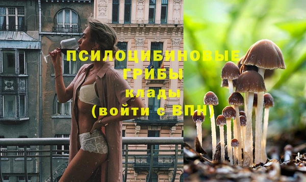 прущая мука Алзамай